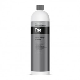 Finish Spray Exterior